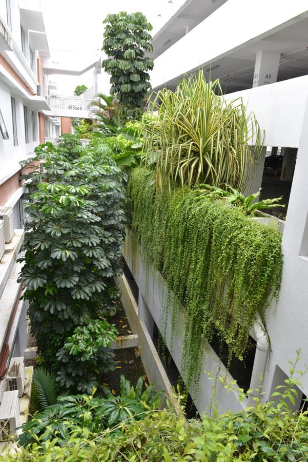 My Daily Homestay - Miri Times Square Buitenkant foto